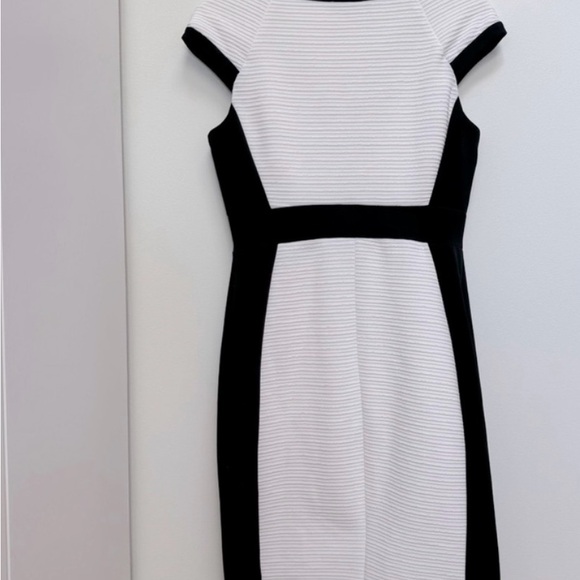 White House Black Market Black and White Sleeveless V-Neck Mini Dress - Picture 9 of 10